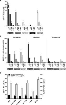 Genetic Engineering and Enrichment of Human NK Cells for CAR-Enhanced Immunotherapy of Hematological Malignancies